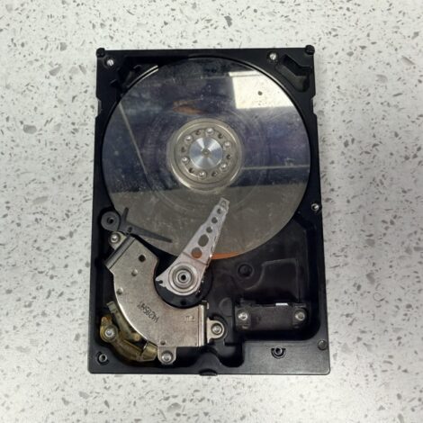 Data Recovery & Transfer